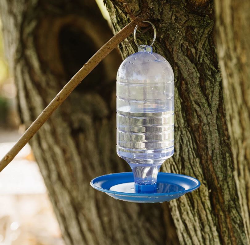 Peckish Bird Water Drinker for Wild Birds - Image 2