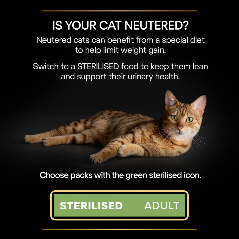 Pro Plan Sterilised Turkey in Jelly Adult Wet Cat Food - Image 7