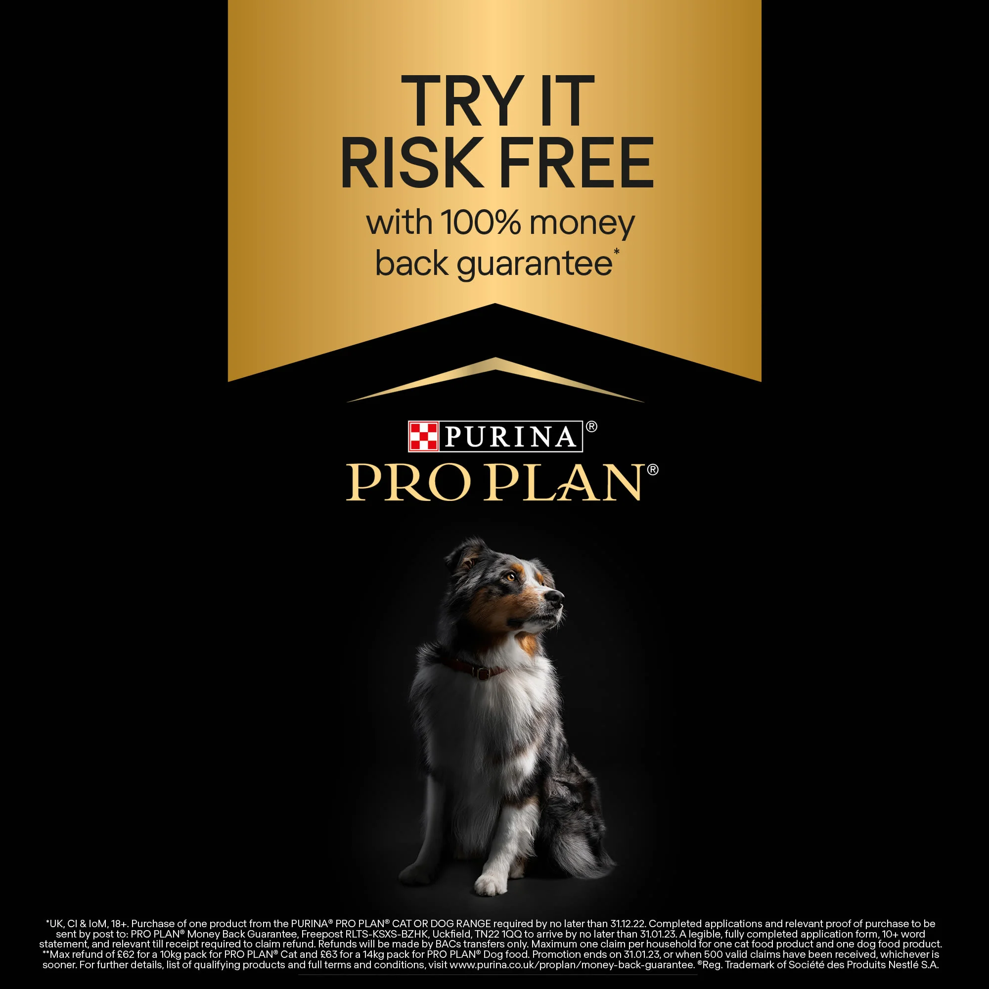 Purina Pro Plan Opti Derma Sensitive Skin Small & Mini Adult Dry Dog Food - Salmon - Image 4
