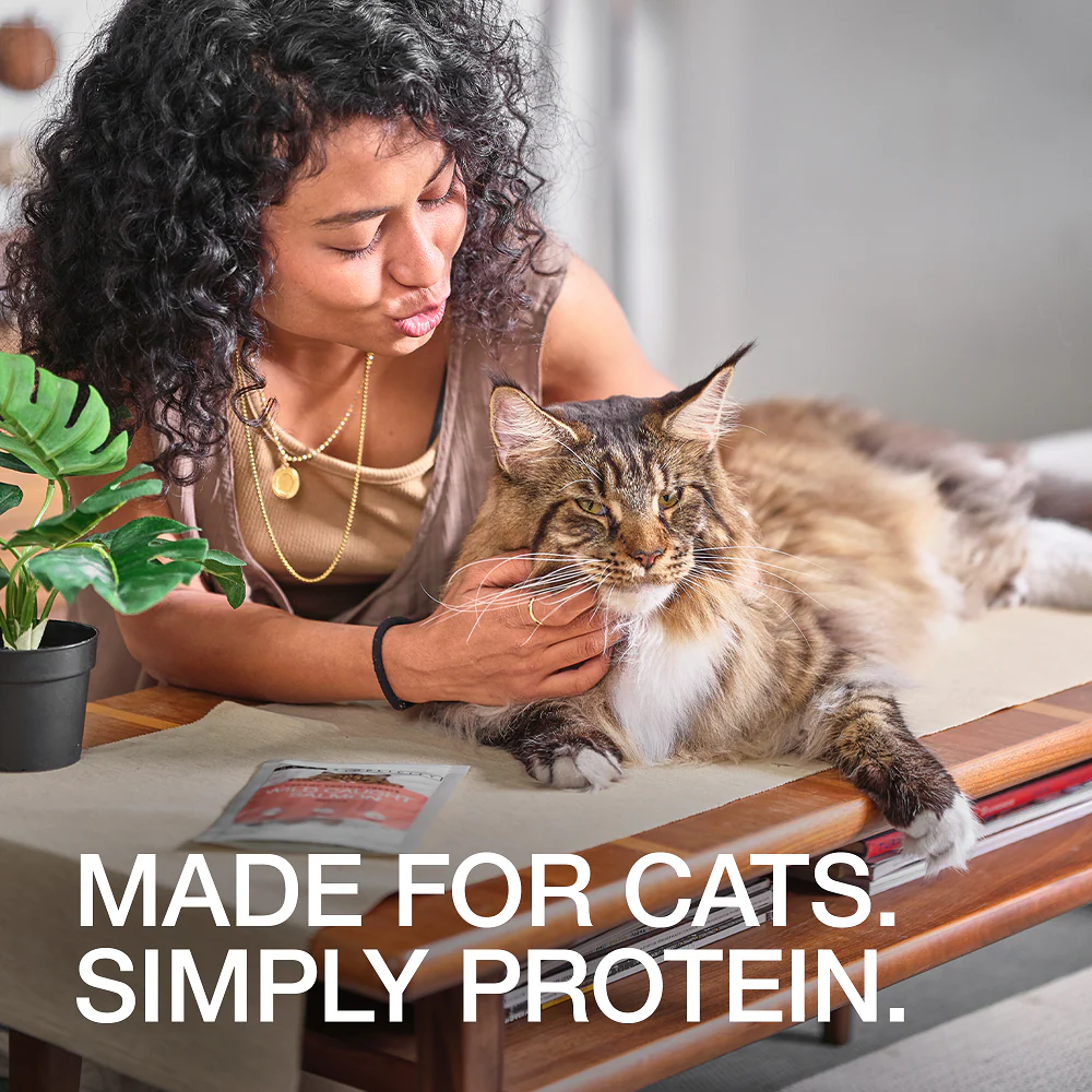 Real Simplicity Freeze Dried Single Protein Bites Farm Raised Chicken Adult Cat Treat - Image 4