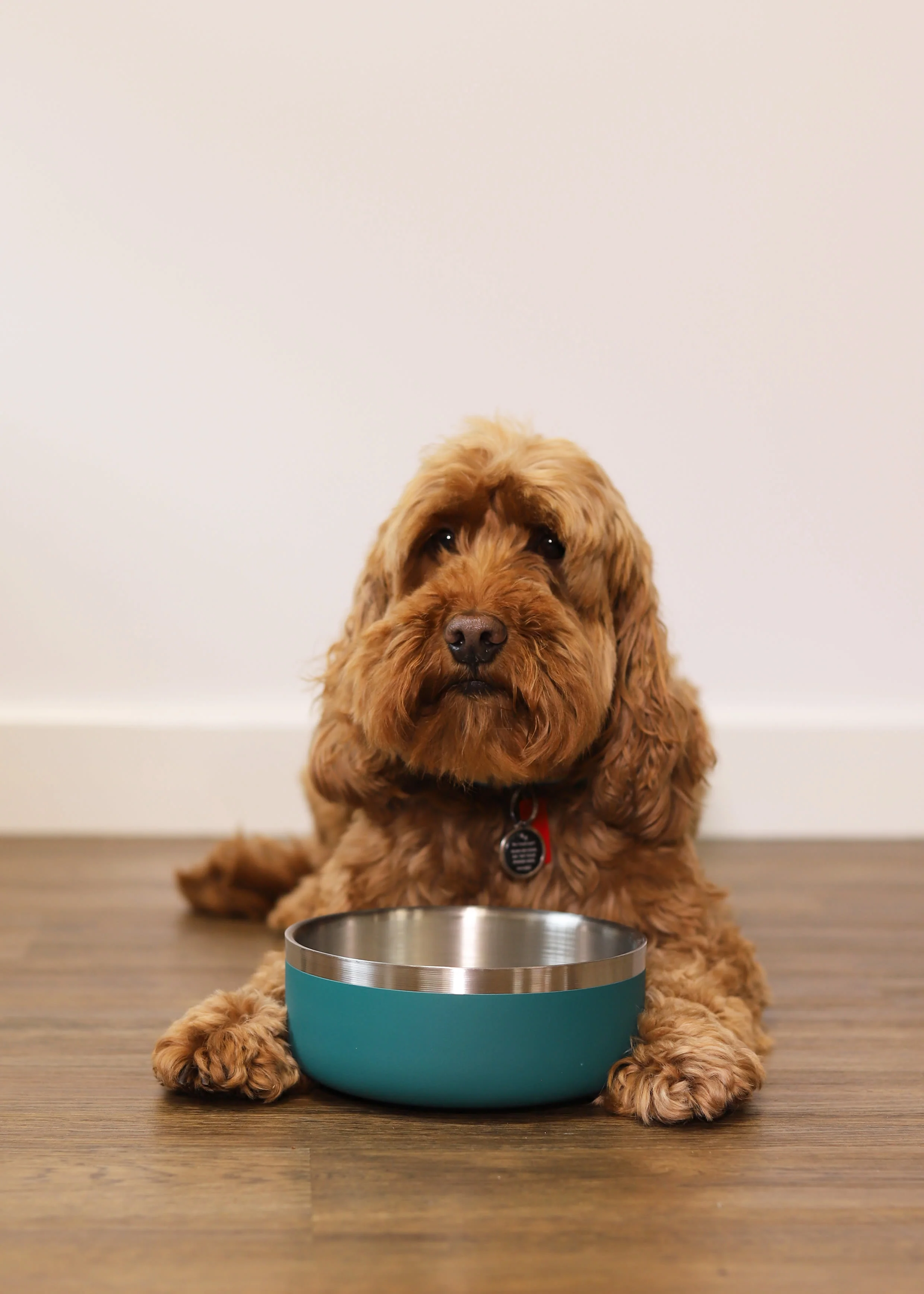 Rosewood Double Wall Stainless Steel Bowl - 700ml - Image 2