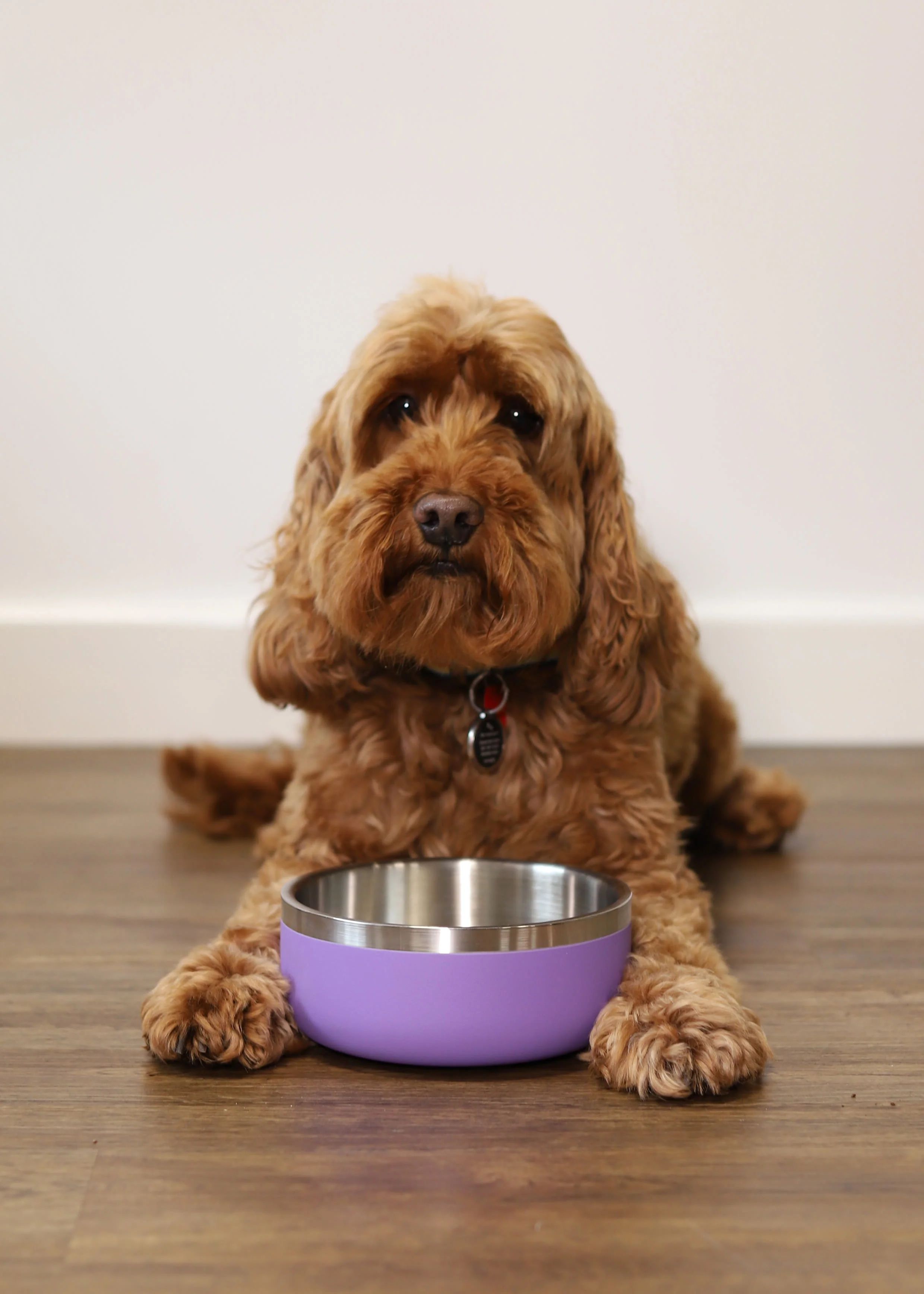 Rosewood Double Wall Stainless Steel Bowl - 700ml - Image 7
