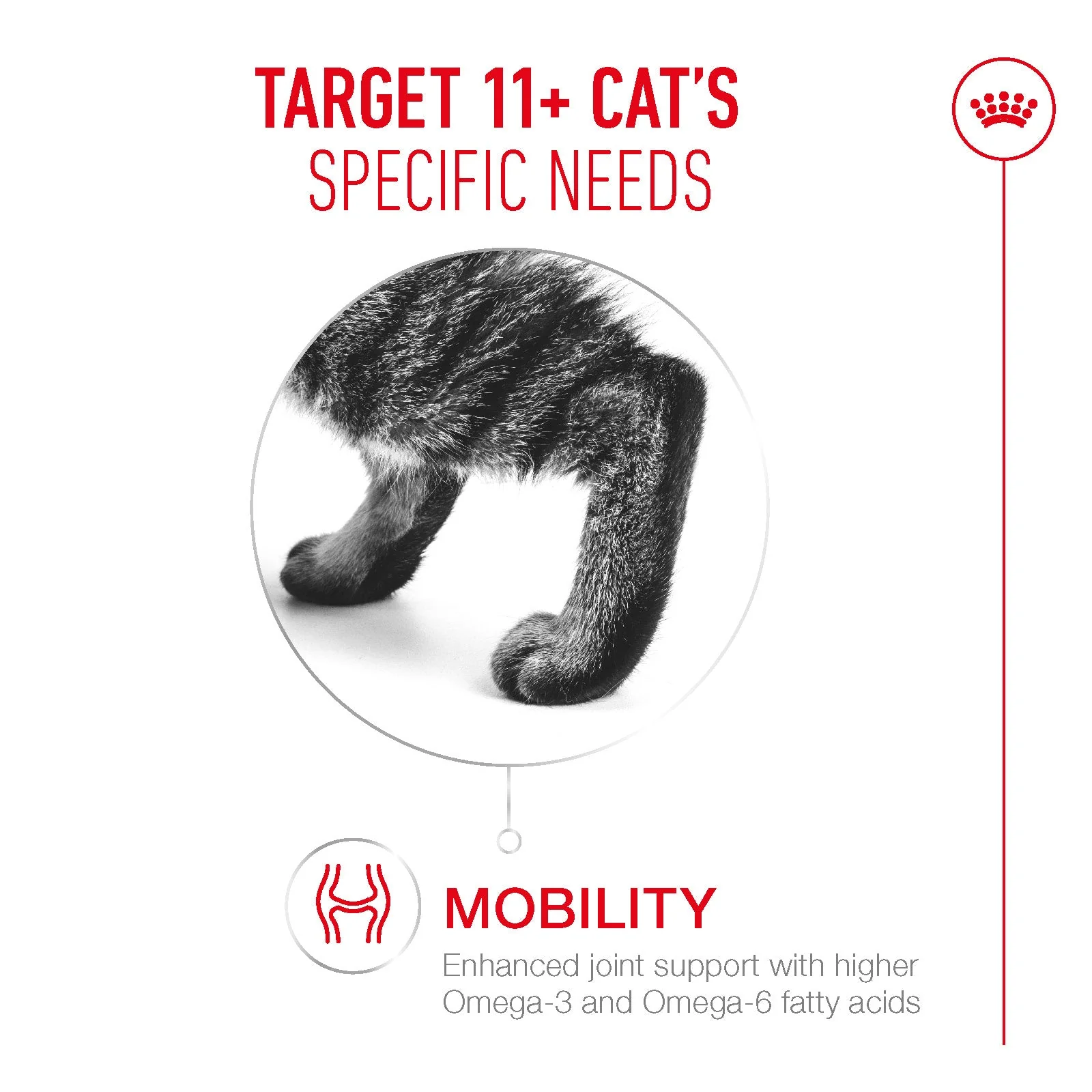 Royal Canin Ageing 11+ Senior Wet Cat Food Chunks In Jelly - Image 4