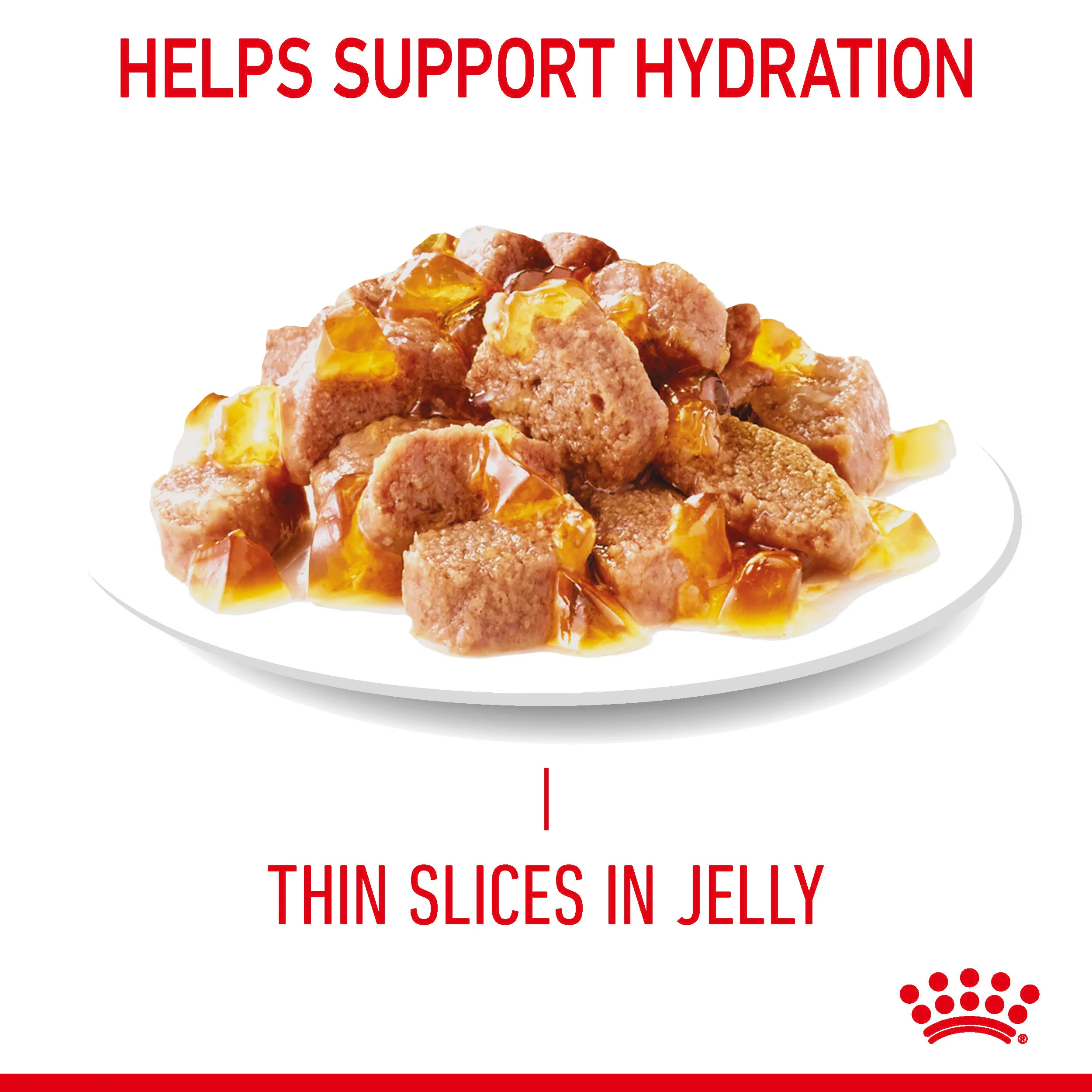 Royal Canin Feline Health Nutrition Urinary Care in Jelly Wet Cat Food - Image 10