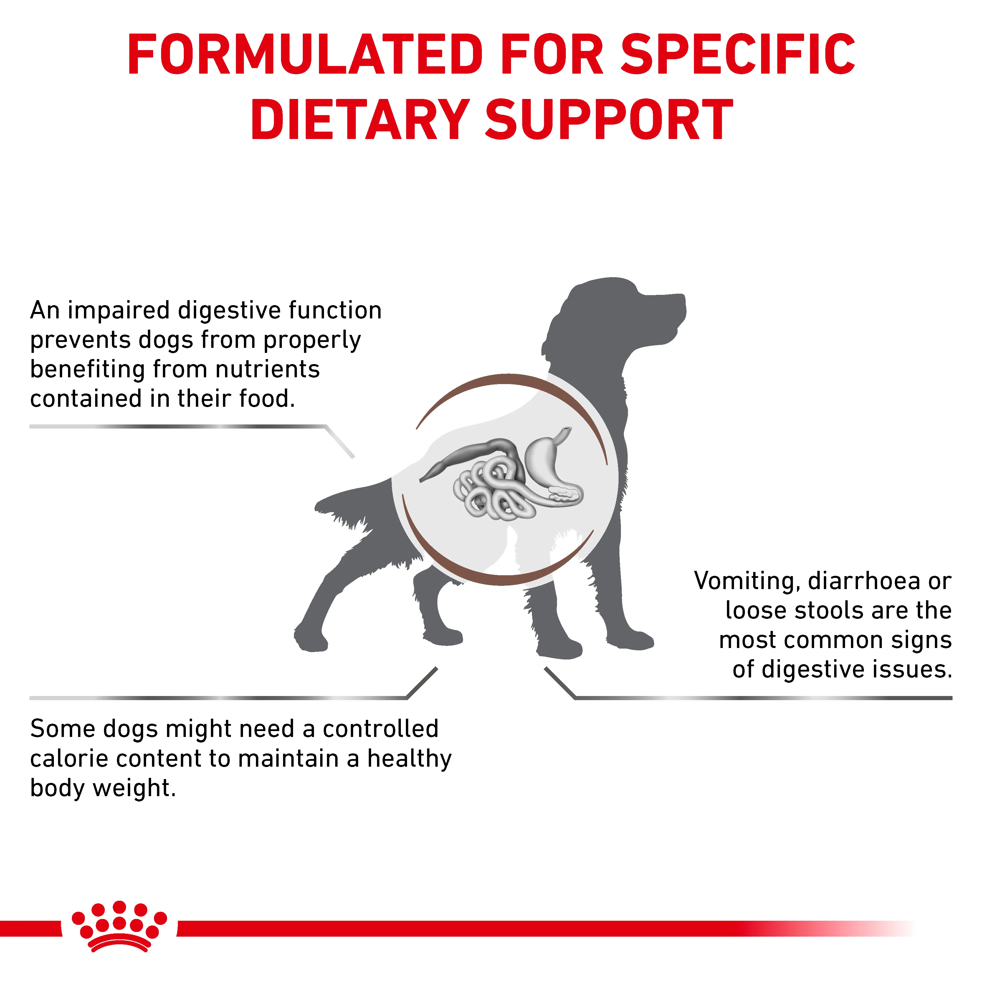 Royal Canin Gastrointestinal Moderate Calorie Adult Dry Dog Food - Image 5