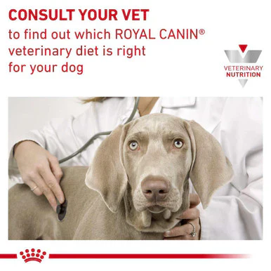 Royal Canin Hypoallergenic Adult Wet Dog Food - Image 3