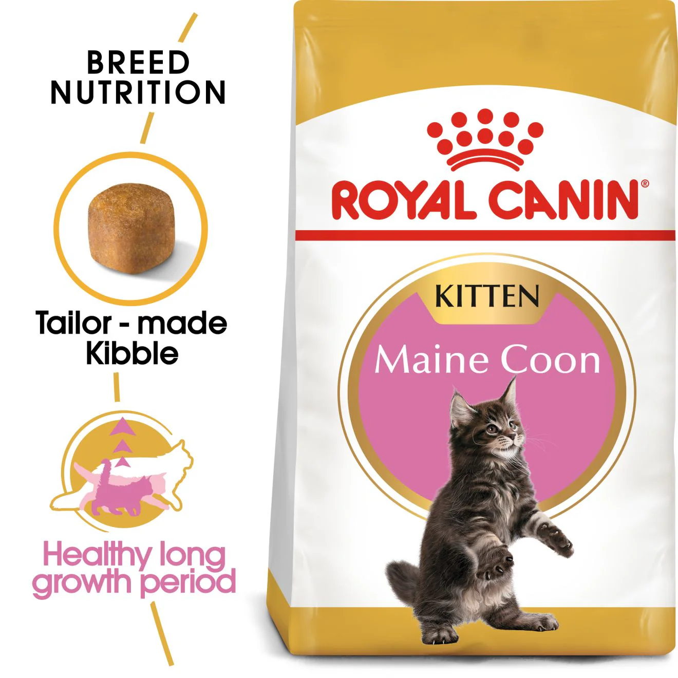 Royal Canin Kitten Maine Coon Dry Cat Food - Image 2
