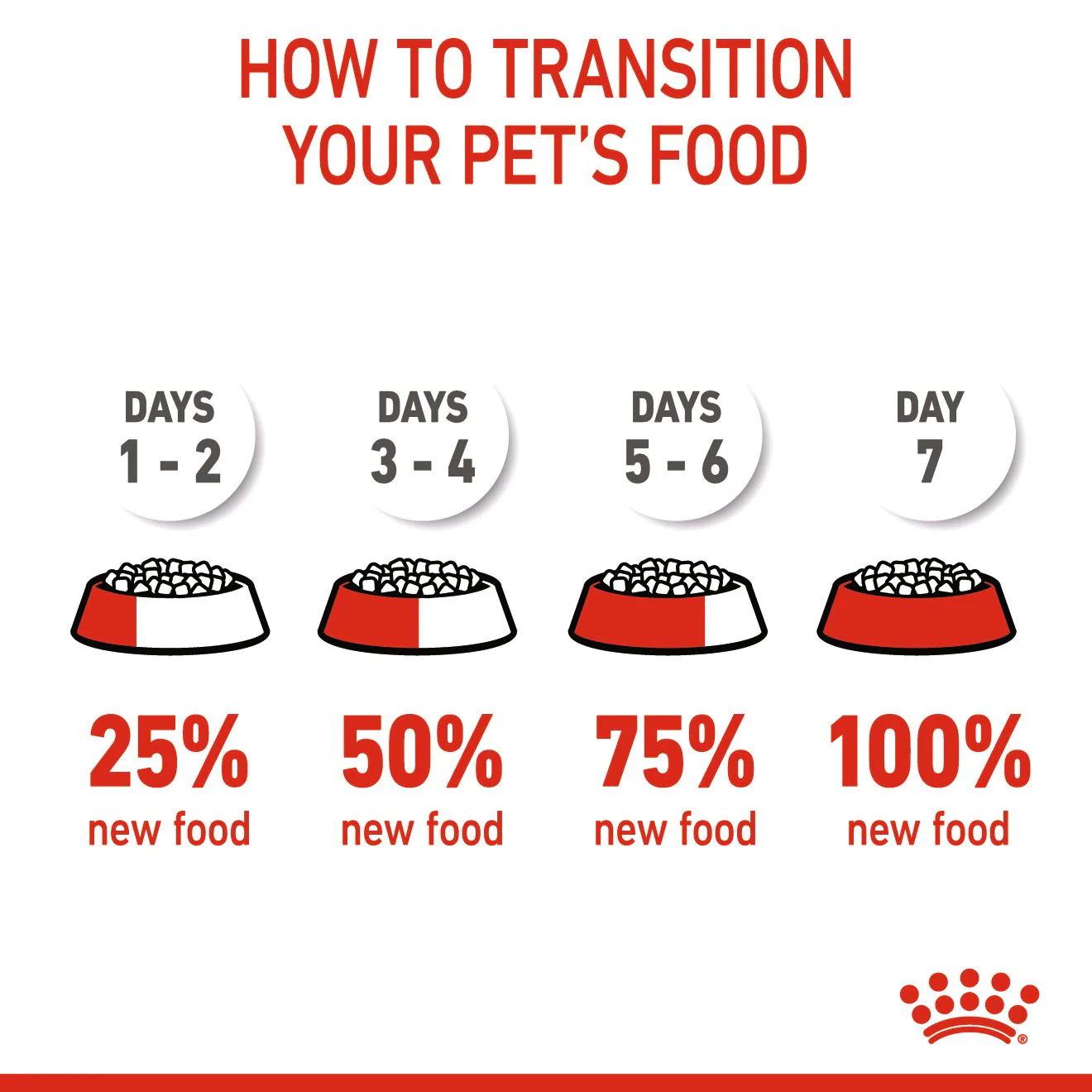 Royal Canin Kitten Sterilised Dry Cat Food - Image 6