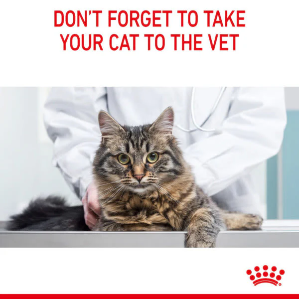 Royal Canin Light Weight Care Adult Dry Cat Food 400g - Image 11