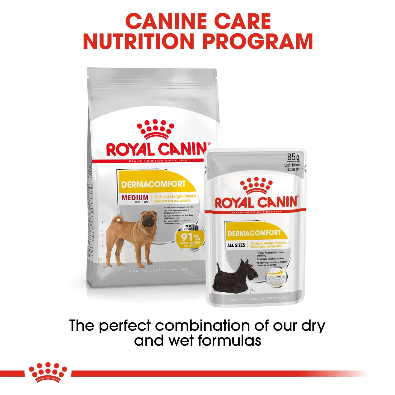 Royal Canin Medium Dermacomfort Adult Dry Dog Food - Image 7