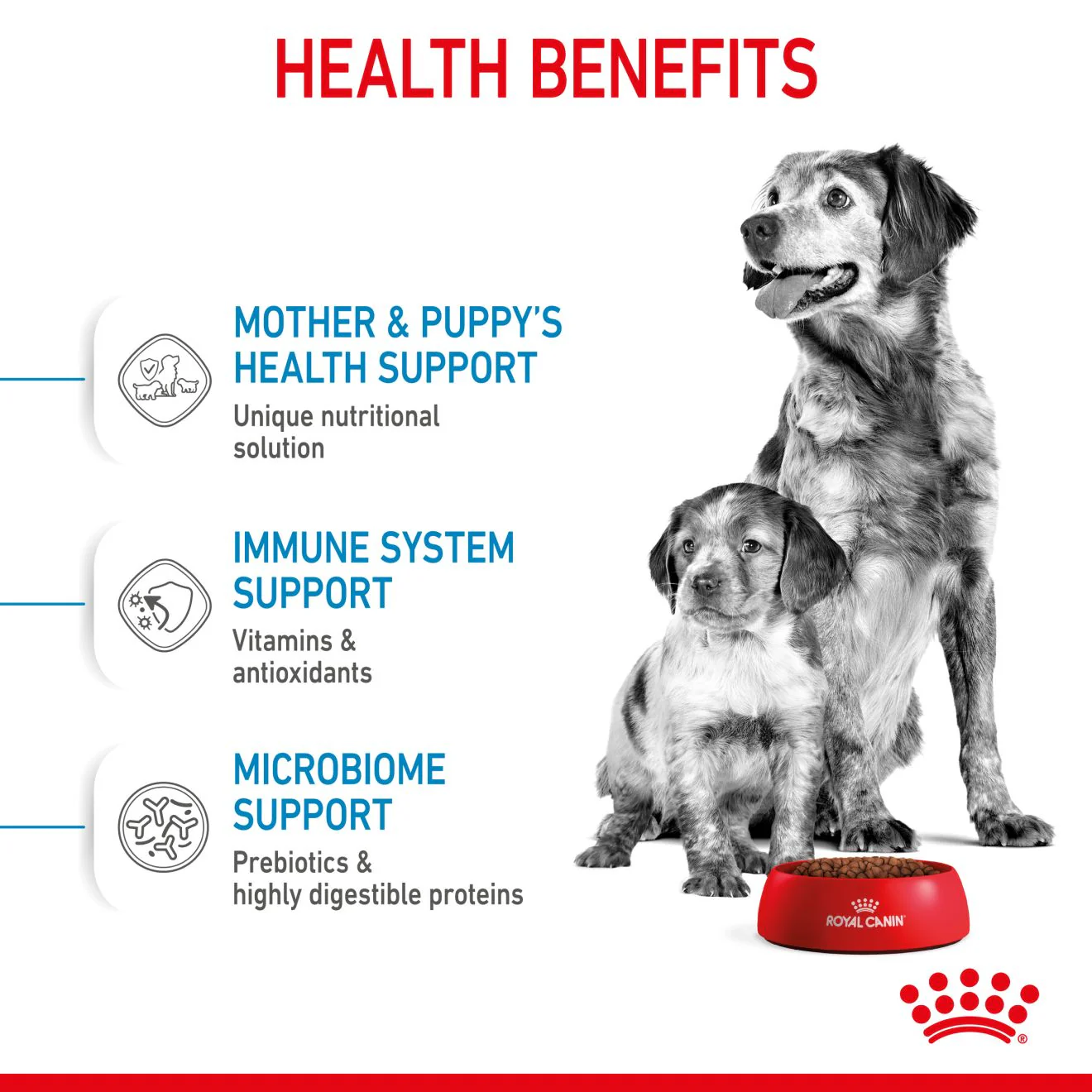 Royal Canin Medium Starter Mother & Babydog Adult/Puppy Dry Dog Food - Image 4