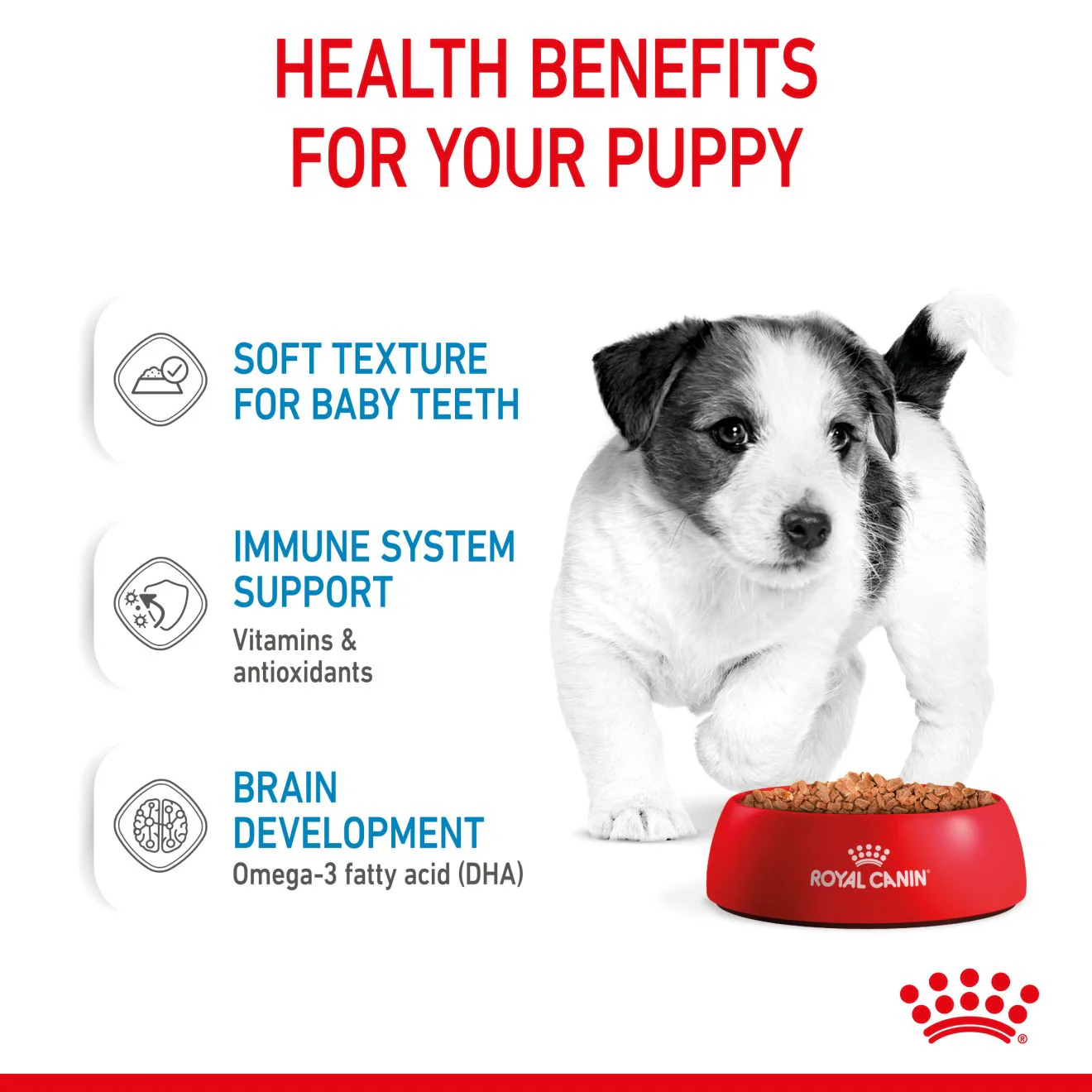 Royal Canin Mini Puppy Wet Dog Food - Chunks in Gravy - Image 5
