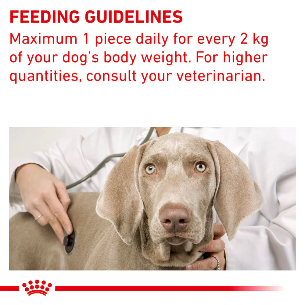 Royal Canin Pill Assist for Small Dog - Image 6