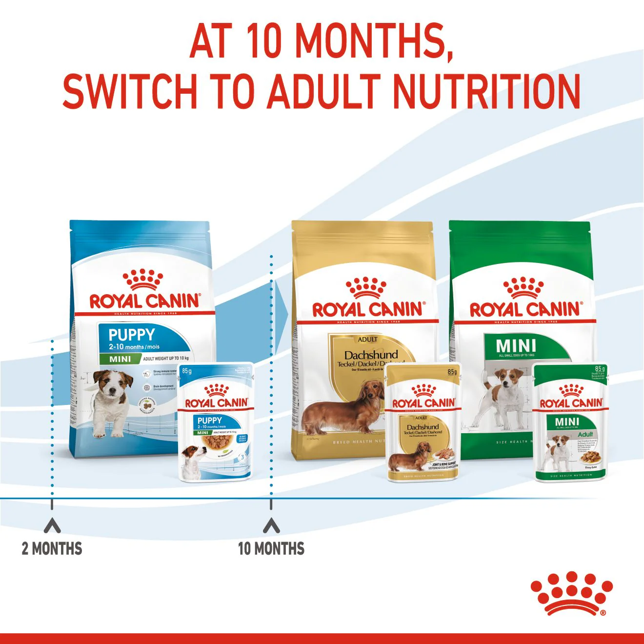 Royal Canin Size Health Nutrition Mini Puppy Multipack in Gravy Wet Dog Food - Image 6