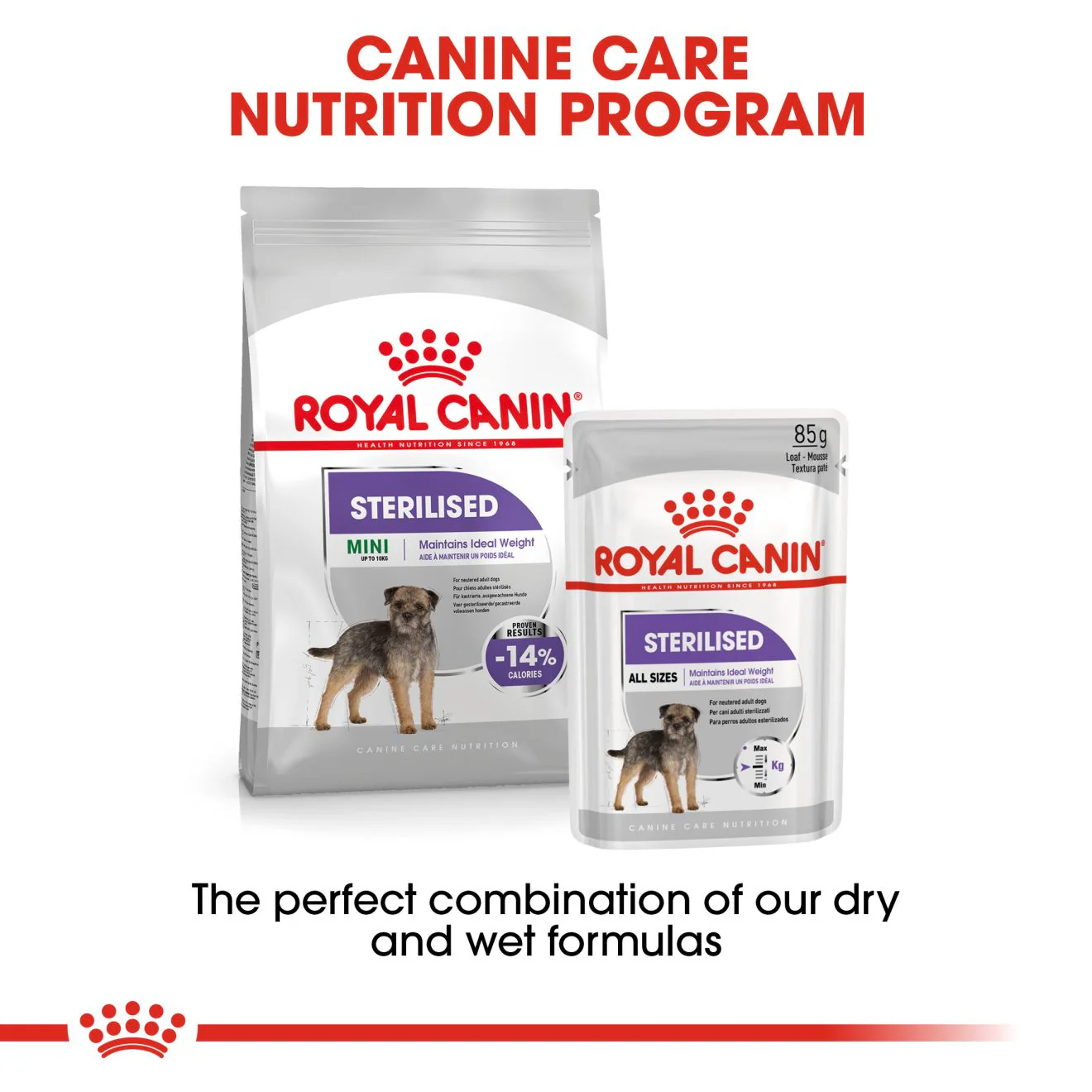 Royal Canin Sterilised Care Adult Wet Dog Food - Image 6