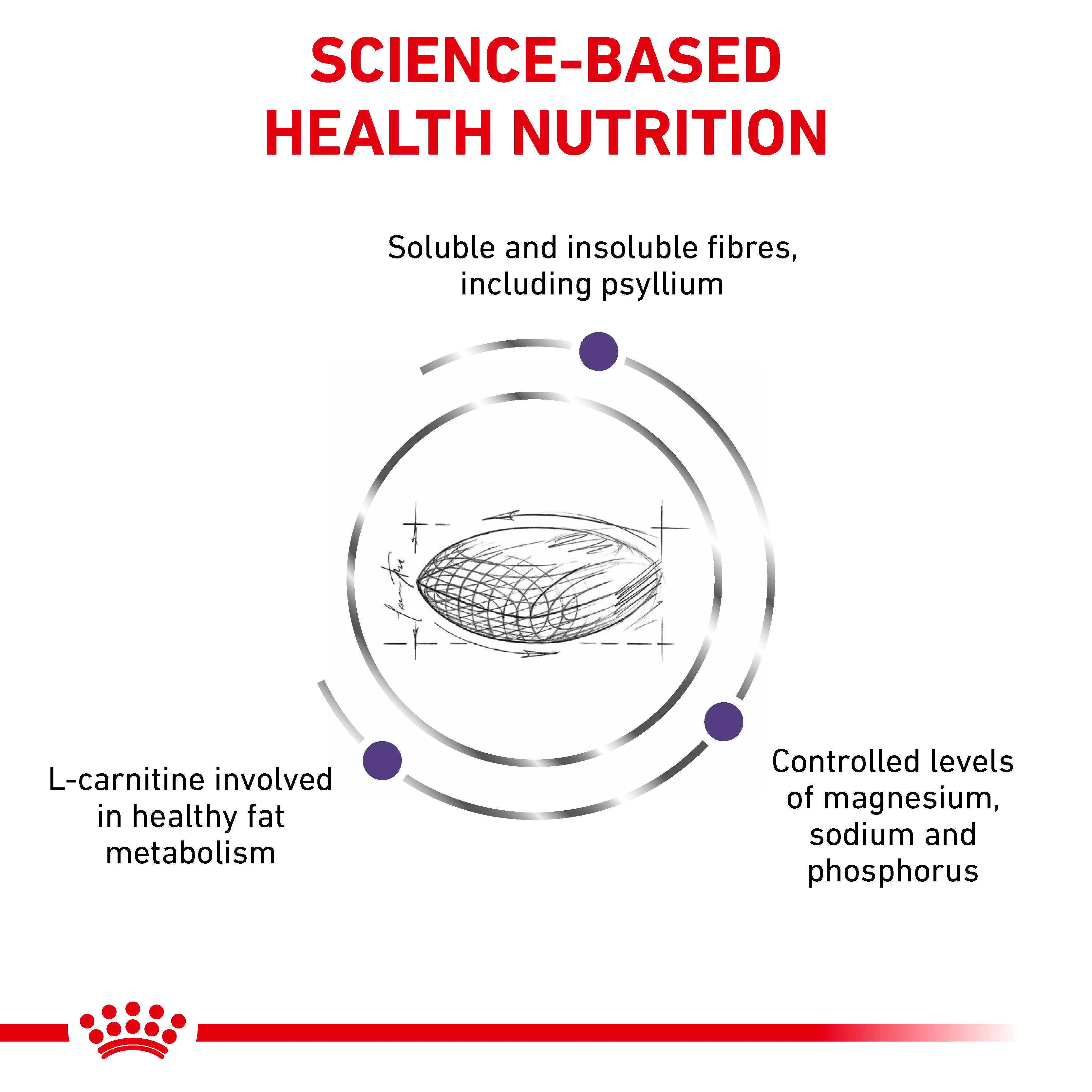 Royal Canin Neutered Satiety Balance Adult Dry Cat Food - Image 6
