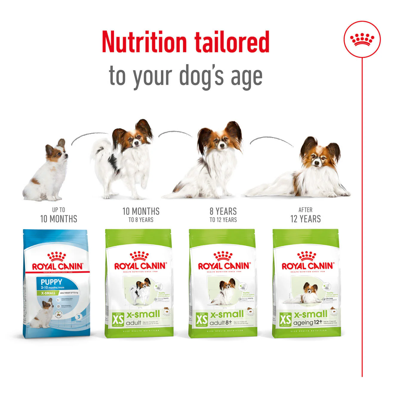 Royal Canin X-Small Adult 8+ Dry Dog Food - Image 7