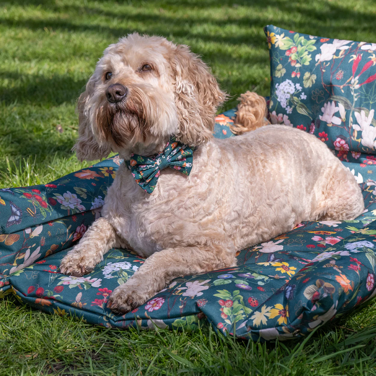 Royal Horticultural Society Pets in the Garden Bow Tie - Image 5