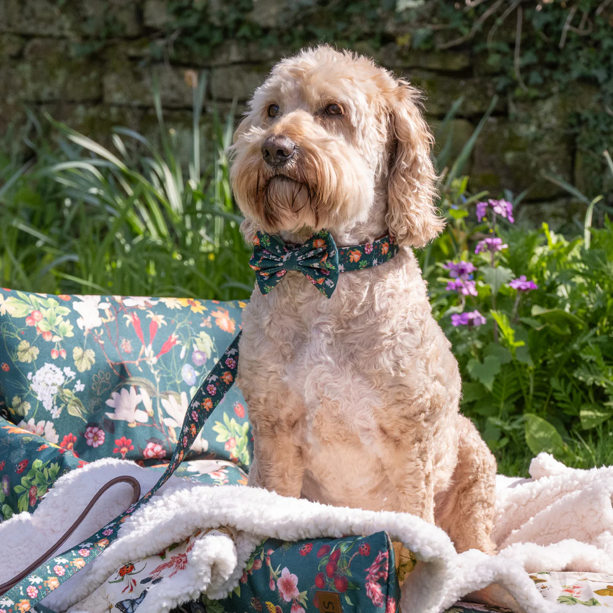 Royal Horticultural Society Pets in the Garden Bow Tie - Image 8