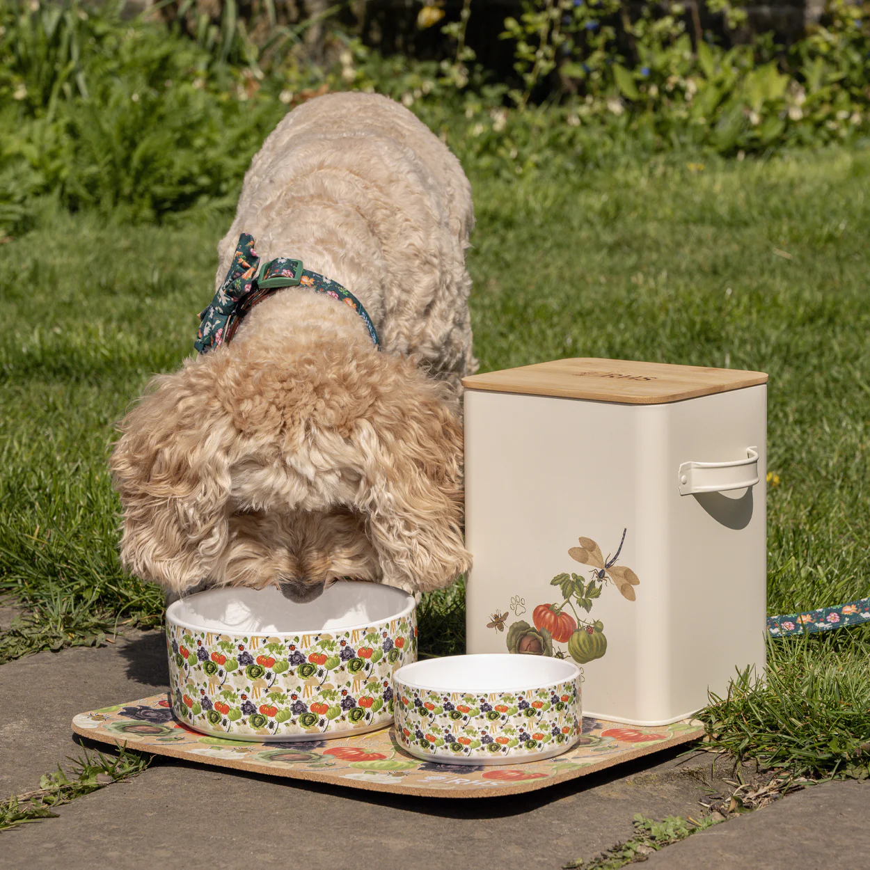 Royal Horticultural Society Pets in the Garden Ceramic Bowl - Image 6