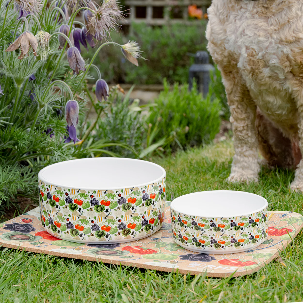 Royal Horticultural Society Pets in the Garden Ceramic Bowl - Image 8