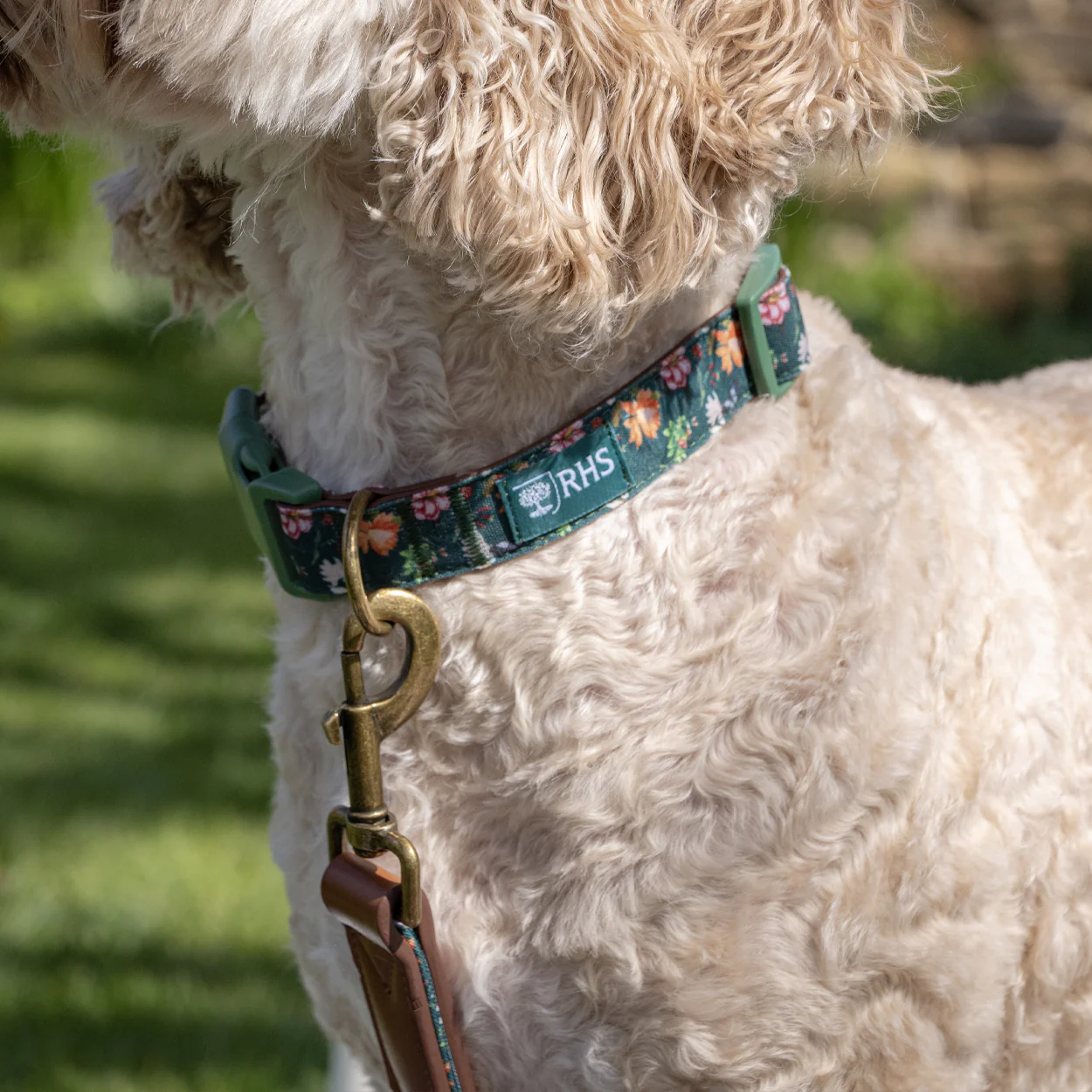 Royal Horticultural Society Pets in the Garden Dog Collar - Image 7