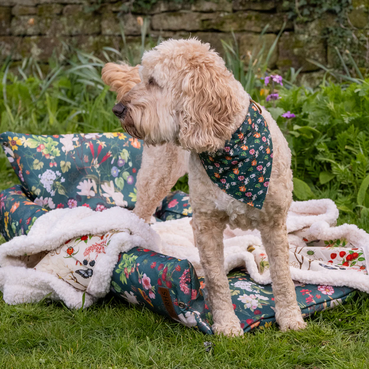 Royal Horticultural Society Pets in the Garden Reversible Bandana - Image 9