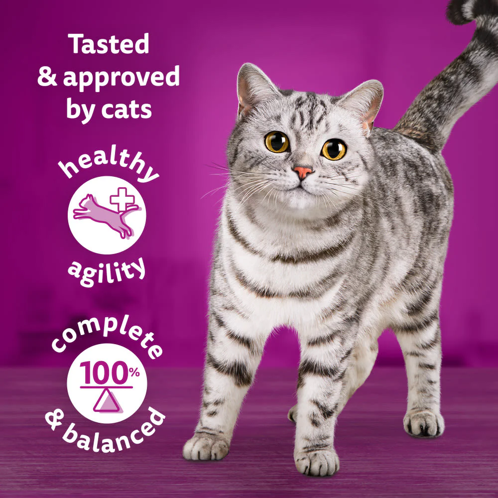 Whiskas 1+ Catch of the Day Mix Adult Wet Cat Food Pouches in Gravy - Image 4