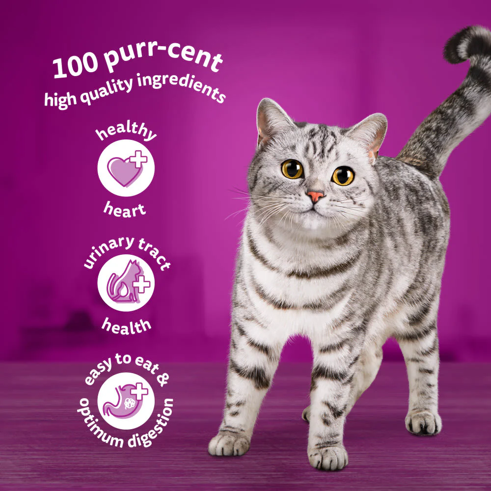 Whiskas 11+ Poultry Feasts Senior Wet Cat Food Pouches in Jelly - Image 4