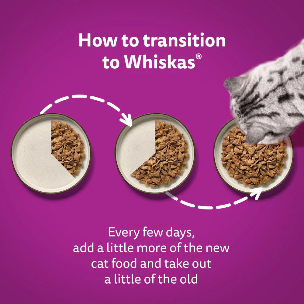 Whiskas 7+ Mixed Menu Senior Wet Cat Food Pouches in Gravy - Image 8