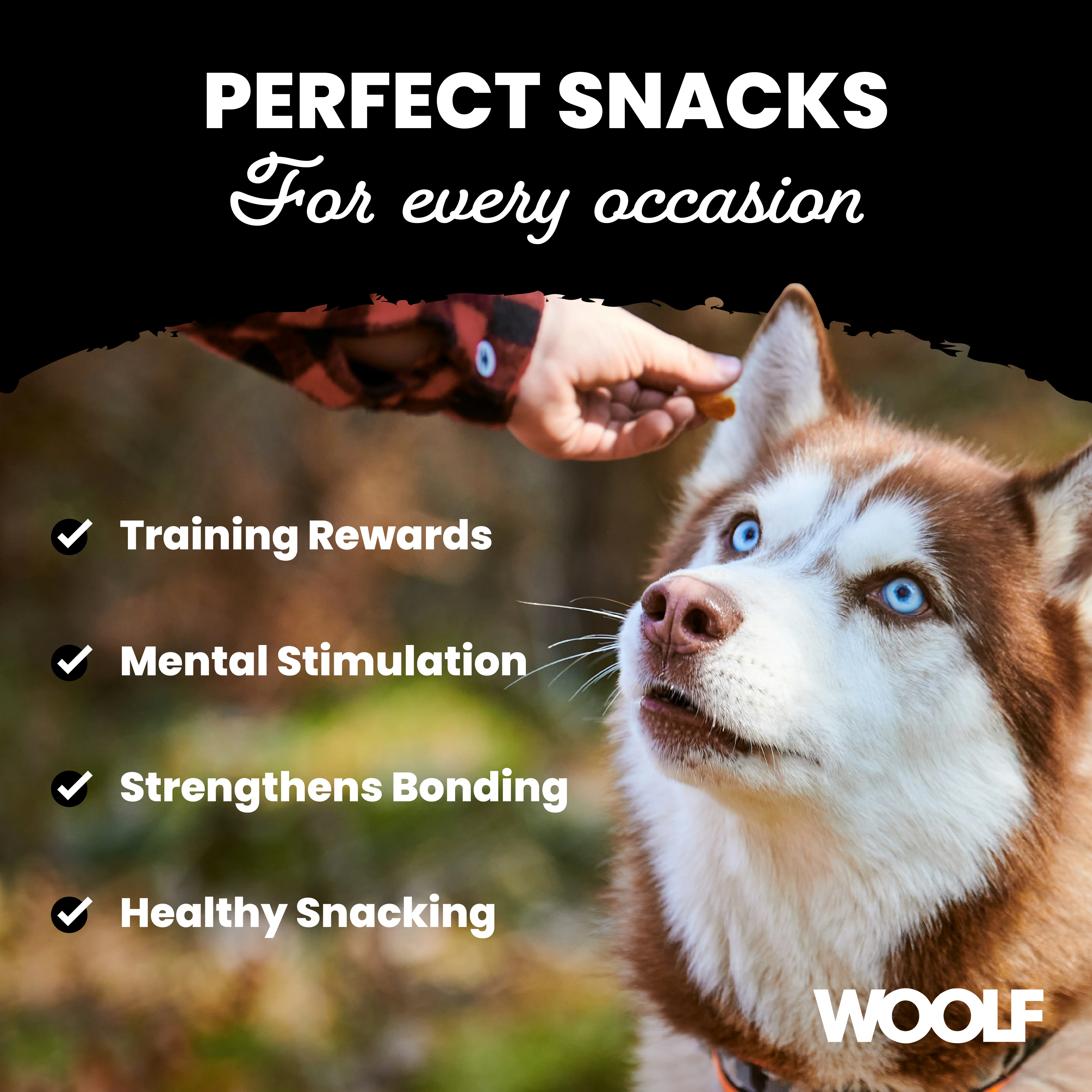 Woolf Salmon with Carrot strips Dog Treats - Image 6